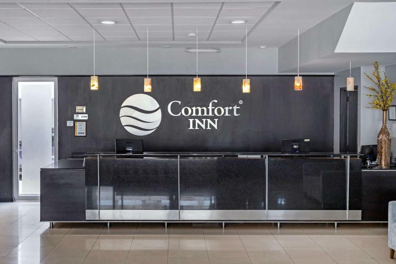 Comfort Inn Μορέλια Εξωτερικό φωτογραφία